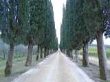 Chianti-2 2016 - 038.jpg